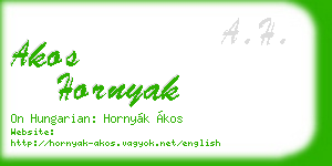 akos hornyak business card
